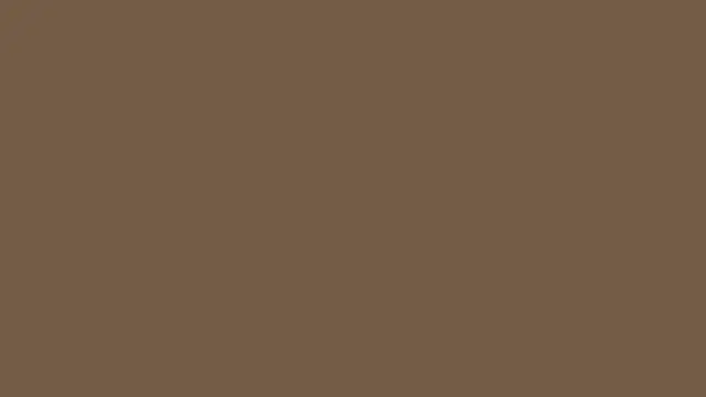 Brown taupe solid