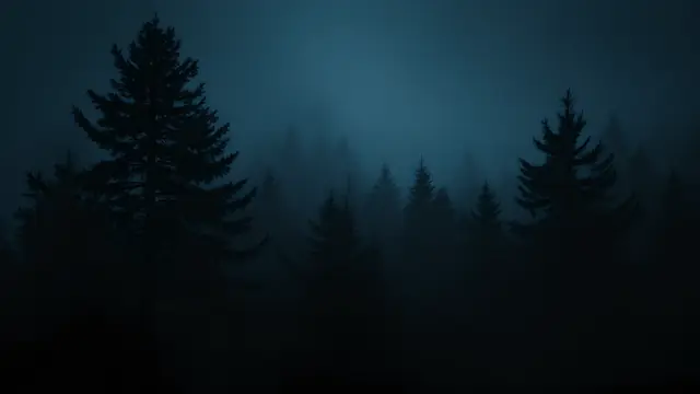 A pine forest at night under heavy fog, in near-black tones