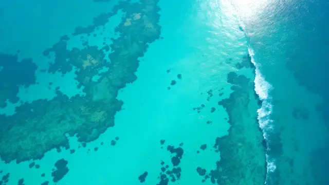 A tranquil beach with turquoise water and white sand