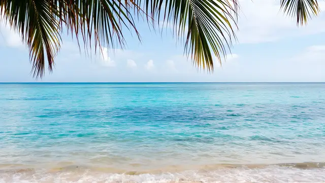 A calm tropical beach with turquoise water and palm leaves at the edge