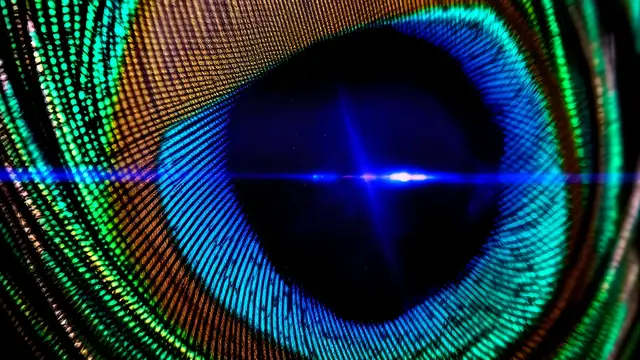 Peacock feather eye pattern with sharp bright highlight streaks