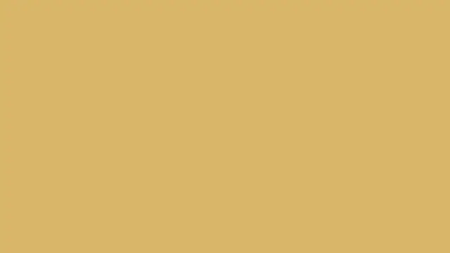 A flat, pale champagne-gold background