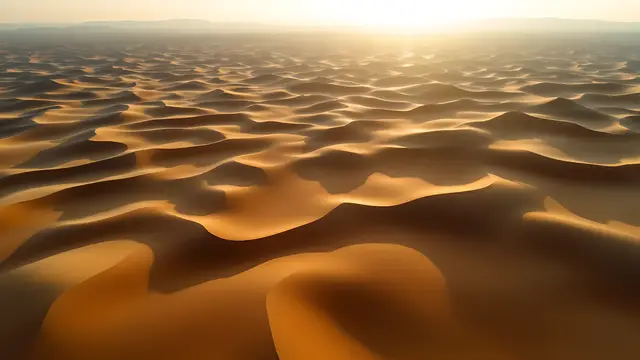 Layered sand dunes casting long shadows at sunrise