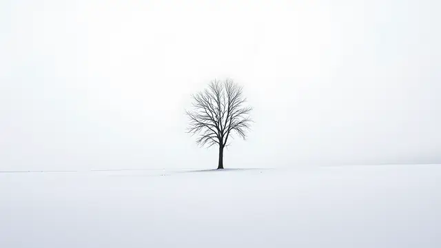 A single bare tree in a snowy field under a white sky