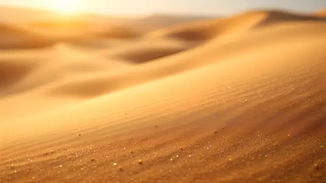 Sand dune texture in warm golden light