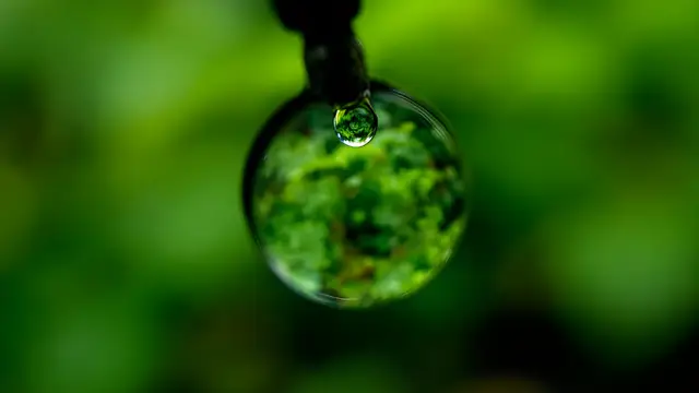 A single water droplet magnifying a blurred green background