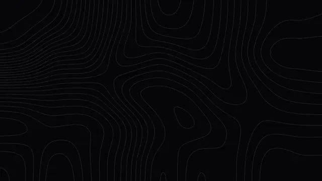 Thin grey contour lines over a black background