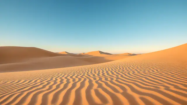A desert dune field with wind-carved ripples in warm afternoon light