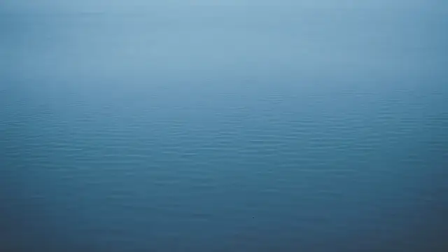 A calm lake surface at dawn in cool blue-grey tones