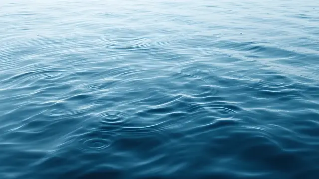 A water surface with soft circular ripples in a muted palette